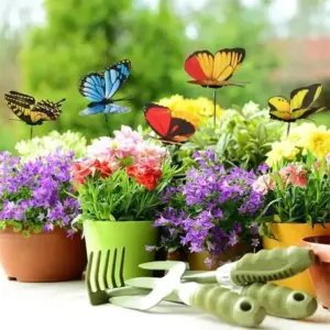 Butterfly Garden