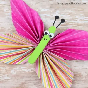 butterfly craft