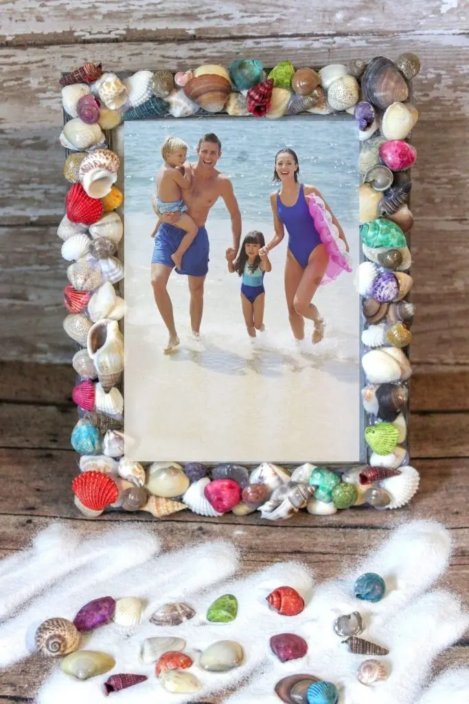 seashell frame