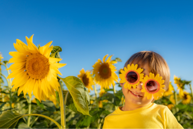 Sunflower Craft for Kids