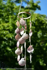Seashell Wind Chimes