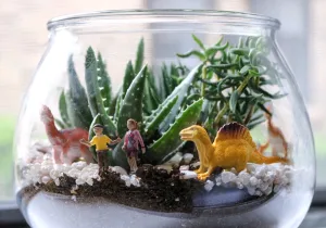 Dino Terrariums