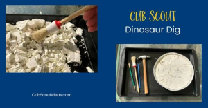 Fossil Excavation Kit