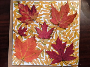 Leaf Collage