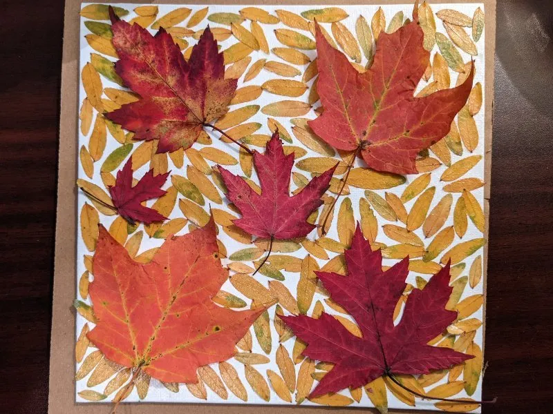 Leaf Craft for Kids: Unleash Your Green Creativity - Activity Kits For Kids