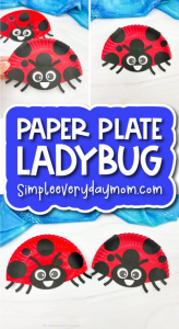 Paper Plate Ladybugs