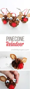 pinecones into reindeer