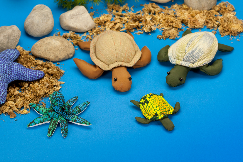 Turtle craft for kids